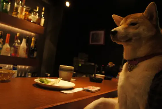 おとなしいハナさん