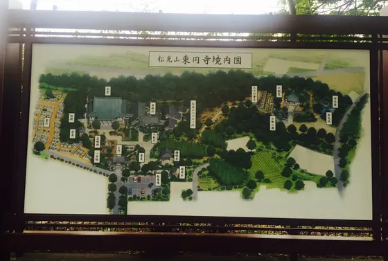広い…