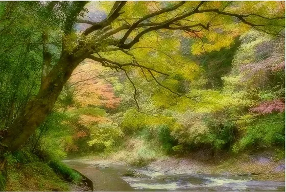赤く色づく前の風景