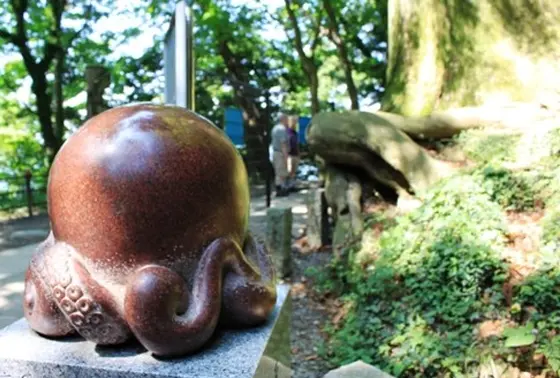 ひっぱりたこ