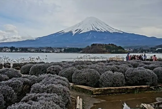 大石公園の向かい