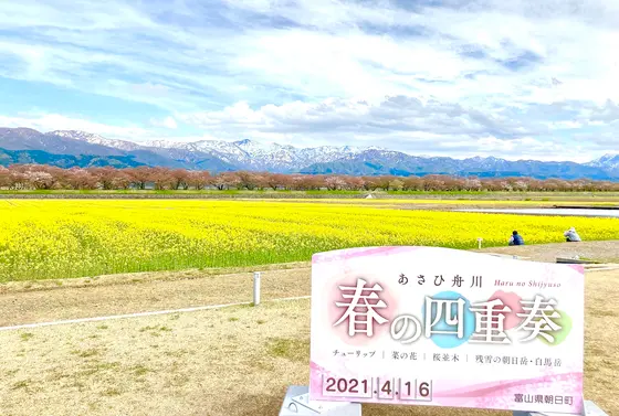菜の花の香りに迎えられて