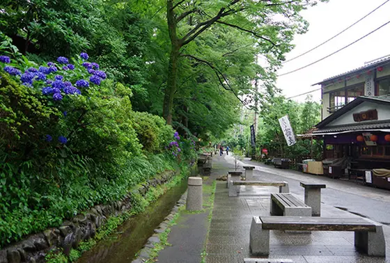 豊富な湧き水