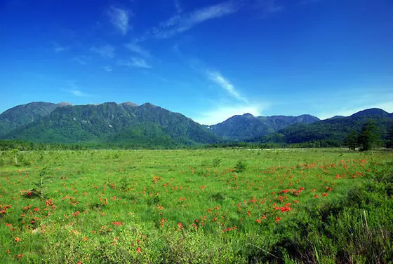 戦場ヶ原