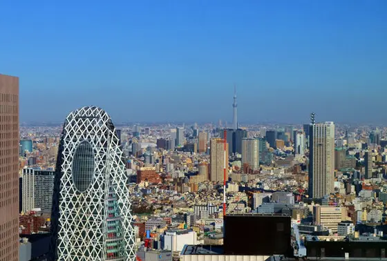 昼はこんな感じ