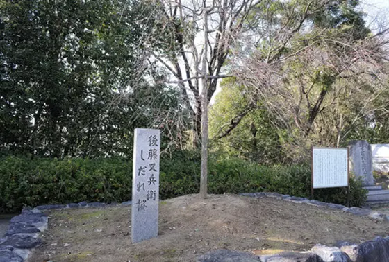 又兵衛桜