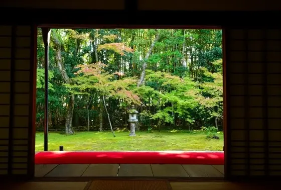 楓の庭