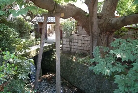 道場も使えるみたいです！