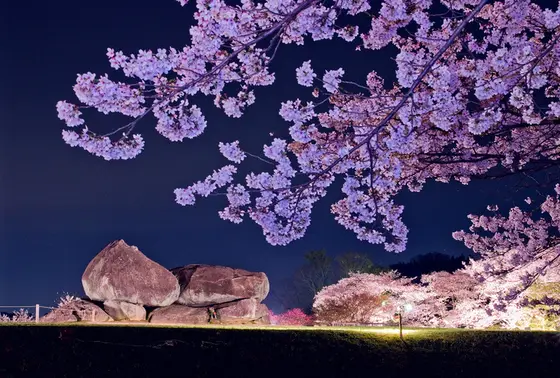 ライトアップされますよ