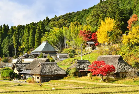 色づく紅葉の季節もおすすめ