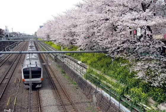 東中野駅周辺3