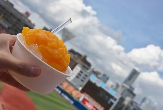 スタジアム名物「みかん氷」