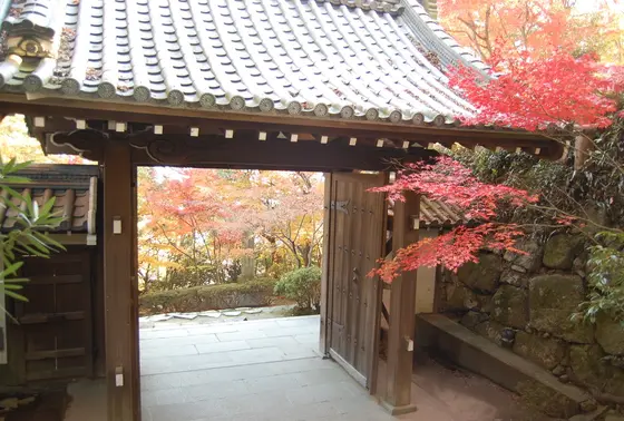 ロープウェを降りたら…