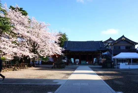 浅草寺