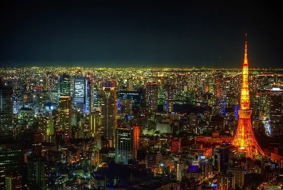 都会の夜景を堪能