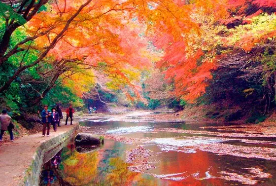 紅葉シーズンは絶景！