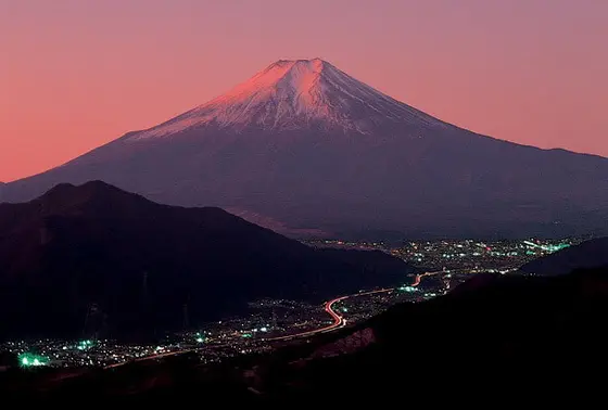 夕方こんな姿に。