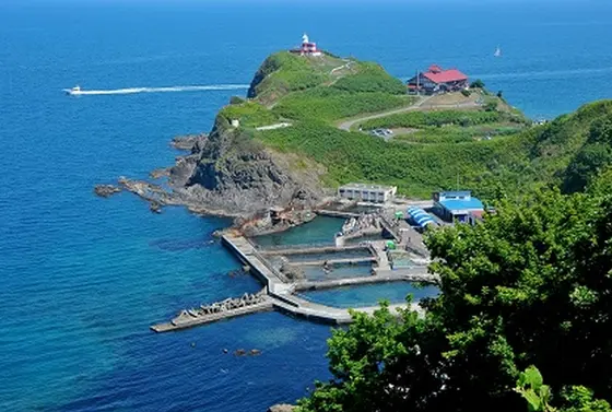 海獣公園