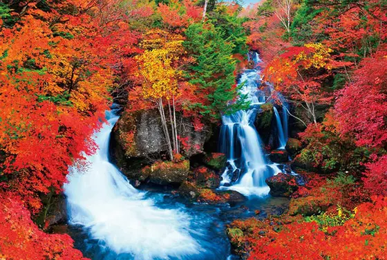 秋の紅葉は絶景！