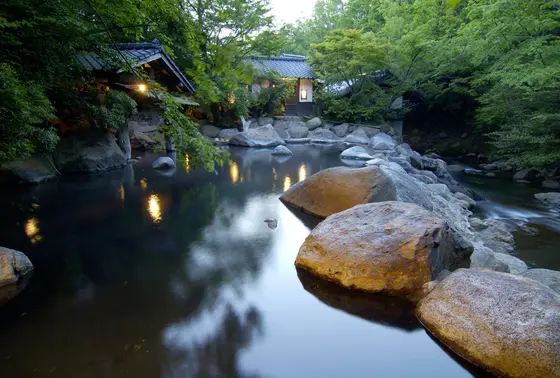山みず木