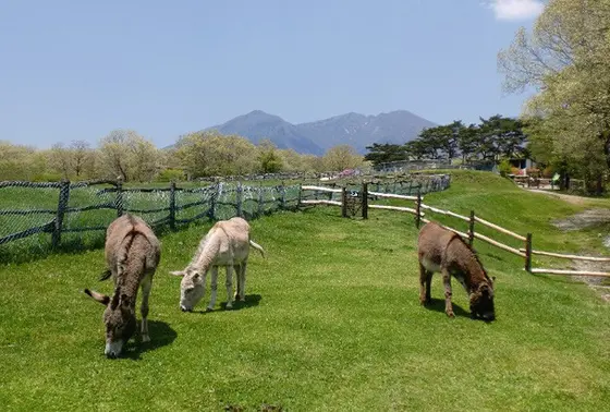 動物達との触れ合い体験！