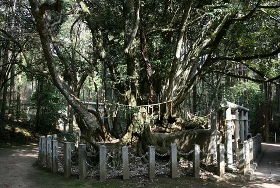 磐座主座と磐座西座