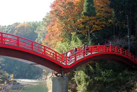 紅葉の季節