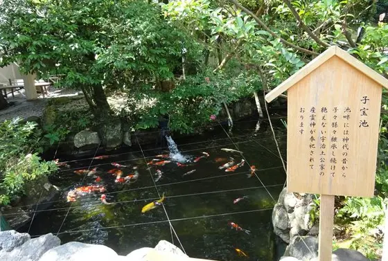子宝池