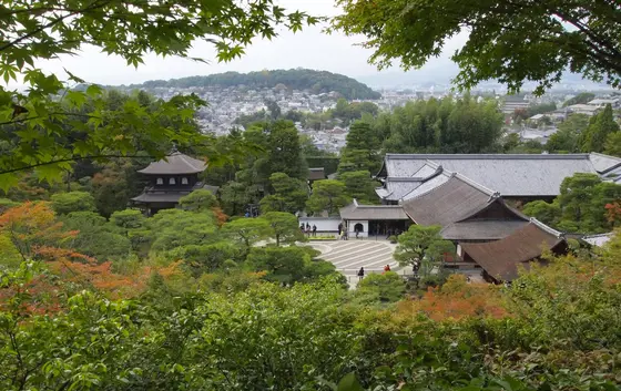 紅葉の時期がおすすめ