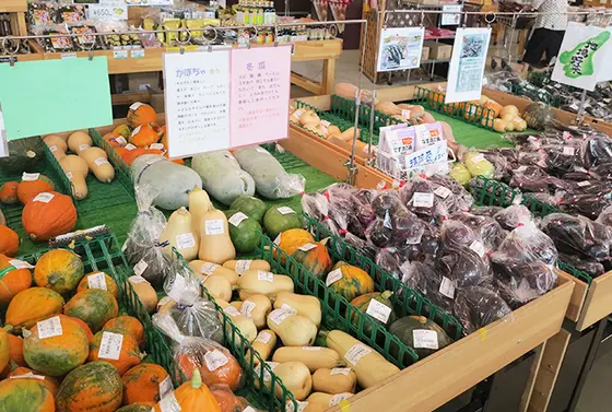 スポット内のおすすめ