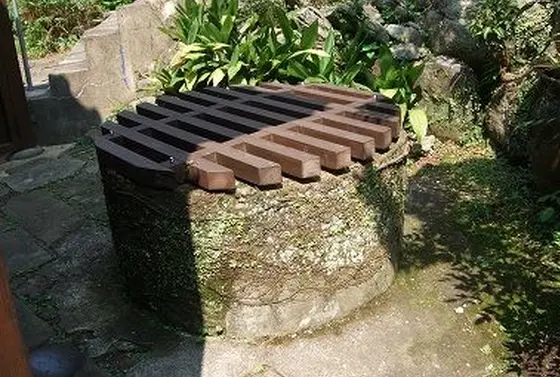 裏庭に井戸発見