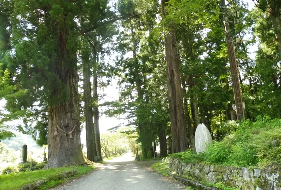 明建神社の参道