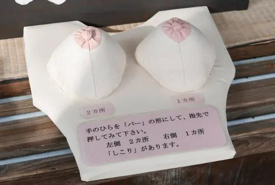 しこりチェック体験