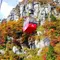 花咲かタイムズ【三重・菰野町】