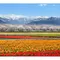 北陸の絶景7選