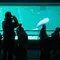 行ったことある水族館