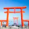 春の絶景　唐津・太良