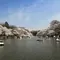 井の頭公園