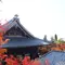 世界観光都市ランキング1位！秋の京都で本気で紅葉狩りしてみました！写真から感じてください♪