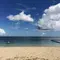 泳いで！食べて！ドライブして！アクティブなあなたへの沖縄本島プラン♫