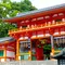 いっぱい食べていっぱい散策！京都満喫コース！