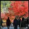紅葉を求めて南禅寺とその周辺をブラ散歩