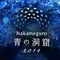 クリスマスの目黒川が真っ青に！「青の洞窟2014」が始まる（2014/11下旬〜12/25）
