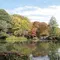 11月16日は、家族で日立中央研究所の庭園におでかけして美しい紅葉を楽しみませんか。