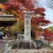 国宝・湖南三山と滋賀のおしゃれカフェをめぐる旅
