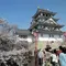 桜の名所！墨俣周辺と羽柴秀吉の一夜城