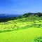 福岡から1時間30分のドライブで福島町へGO！温泉あり♡景勝地あり♡