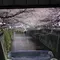 春のおなごの桜祭り