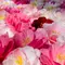 お花見2023🌸京都鹿ヶ谷通りをゆるゆる散歩。