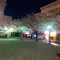 あと、3日くらいかな…。駒込は染井吉野の発祥地。桜の聖地を夜散歩☆